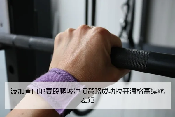 bo-jia-cha-shan-di-sai-duan-pa-po-chong-ding-ce-lve-cheng-gong-la-kai-wen-ge-gao-xu-hang-cha-ju-2-603.jpg